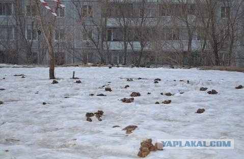 Запахло весной