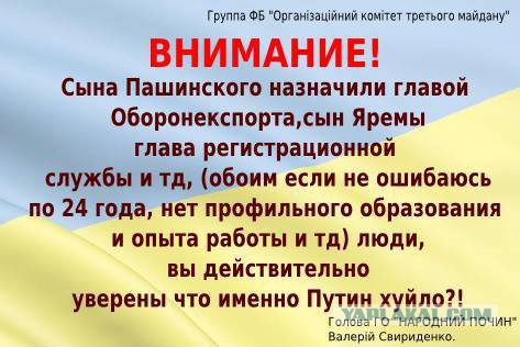 Как устроились дети чиновников