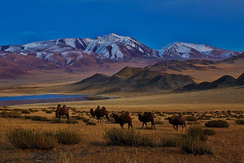 Монголия самое главное. Центральная Азия Монголия. Монгун-Тайга гора. Монголия степь горы панорама. Южный Хангай Монголия.