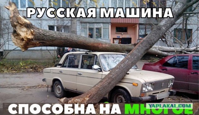 150 картинки для поднятия настроения!
