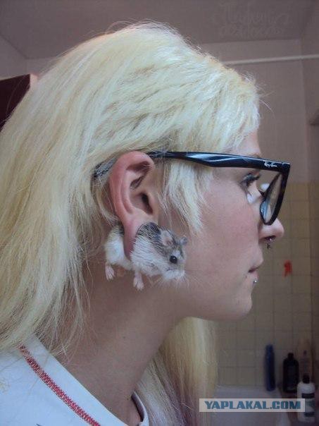 Всяко разное