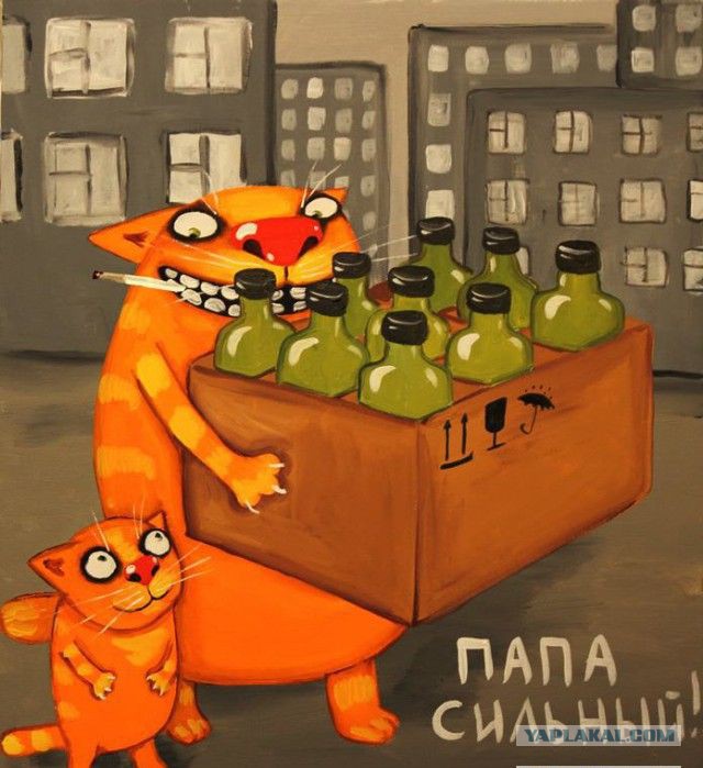 Когда жена быдло