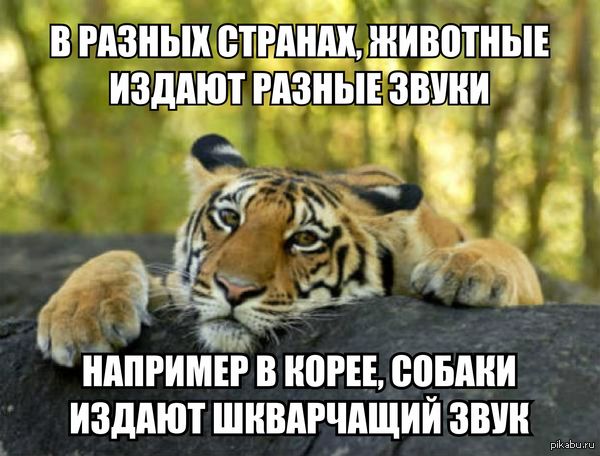 Нестандартный юмор