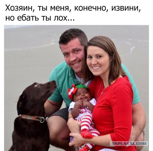 Про баб