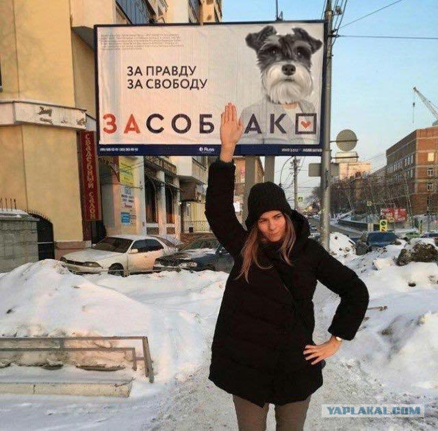 Только с выборов пришёл