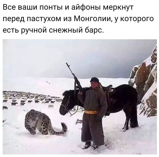 Нестандартный юмор