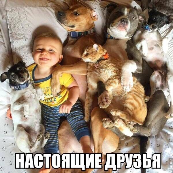 Глазки от работы отрывайте, на картинки повтыкайте!