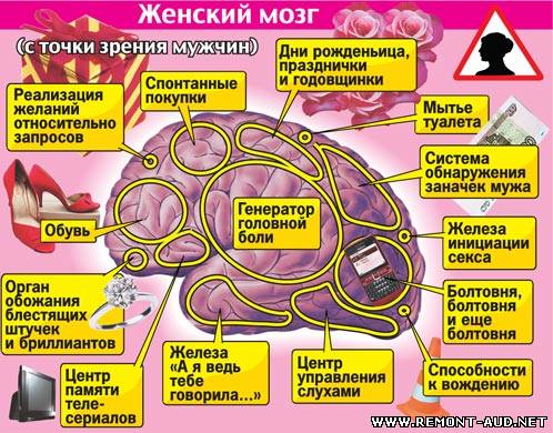 Почему мужчинам трудно общаться с женщинами? ﻿
