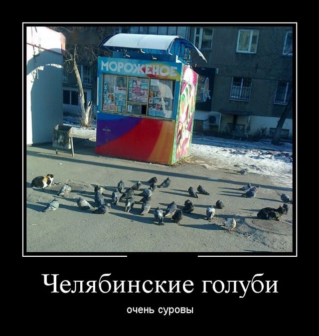 Картинки по-приколу