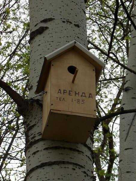 Прикольные надписи и объявления