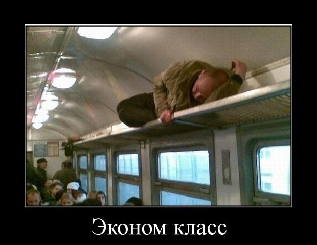 Лента прикольных картинок