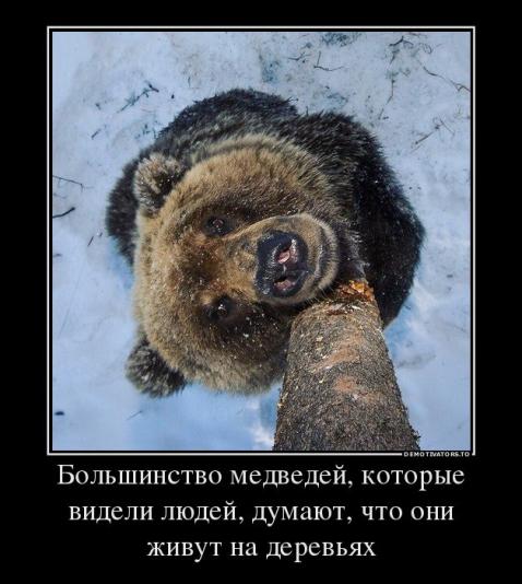 Не очень адекватный юмор