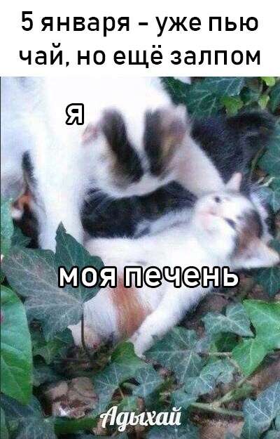 Немного картинок для настроения