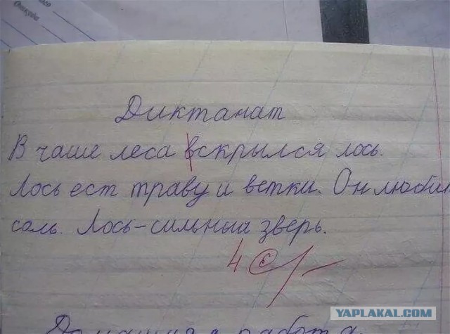 Чернушка