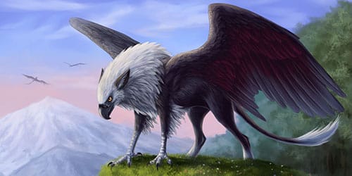 Нашел ничейное яйцо, высиживаю, а тут какая-то левая пернатая пришла