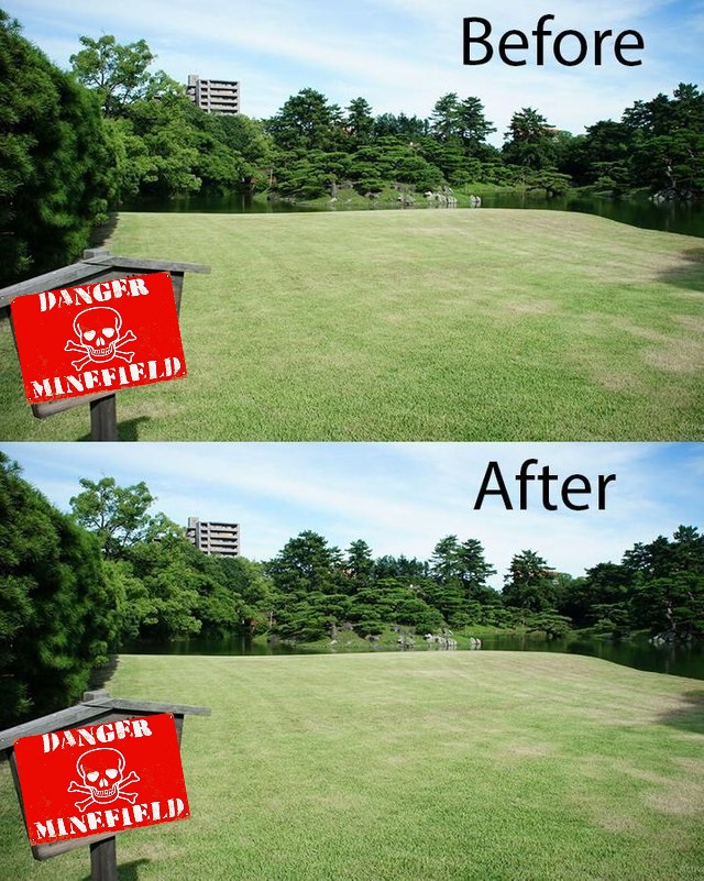 Челлендж по уборке мусора в японском парке. До и после
