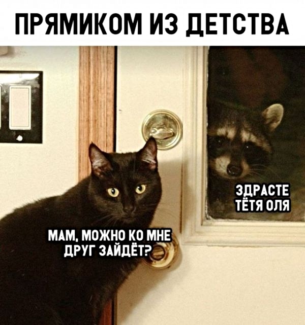 Не очень адекватный юмор
