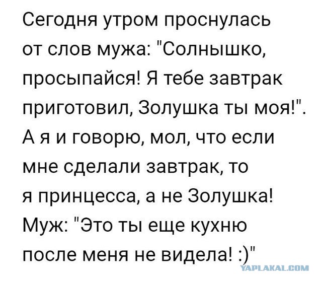 Любовь прошла, завяли помидоры