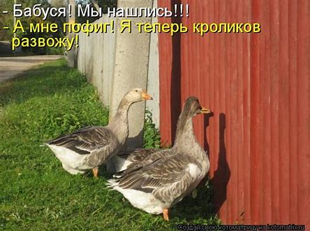 Когда стало пофиг