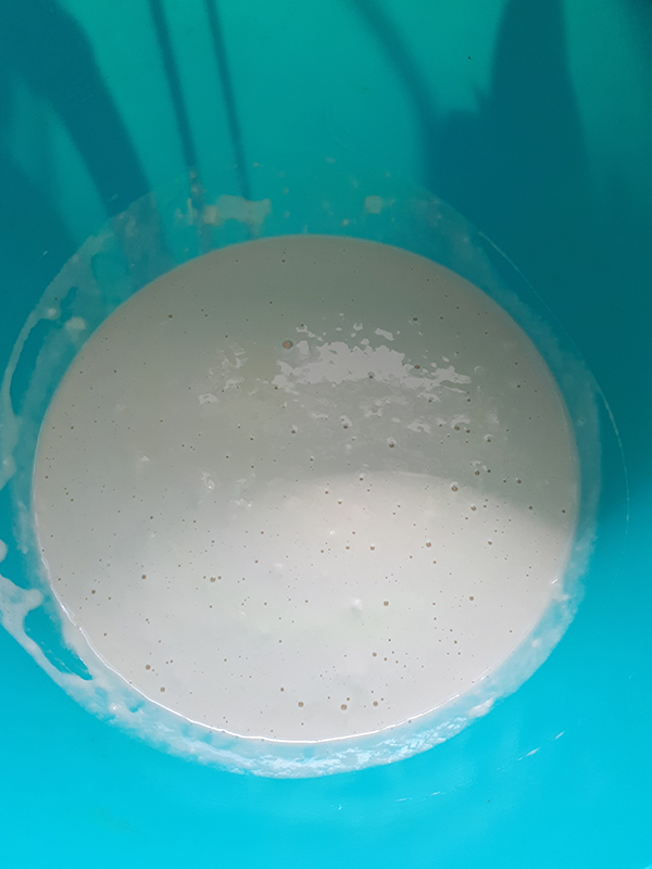 #ДРЯПнем! Чалдонские кнышики с луком и морковью