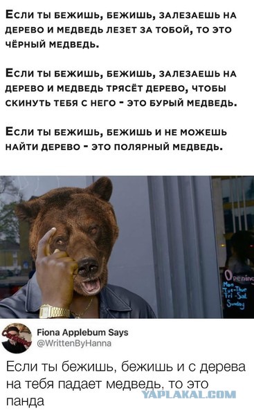 Бредзона