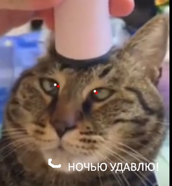 Котокайф
