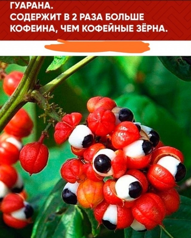 Юмор из соцсетей
