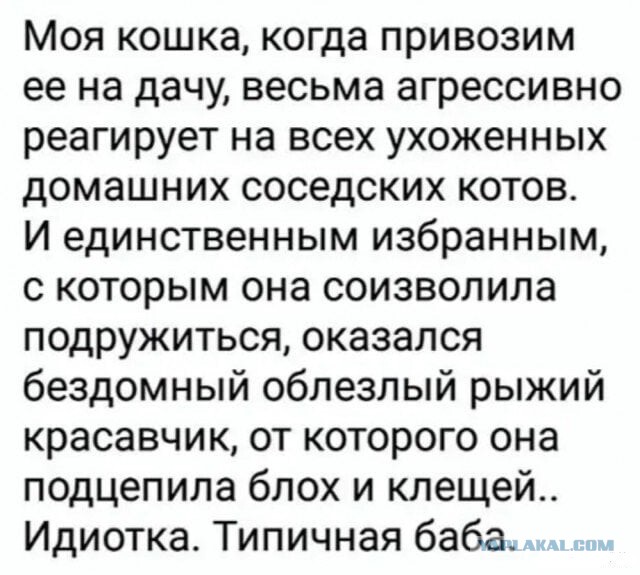 Бредзона 02.02.21