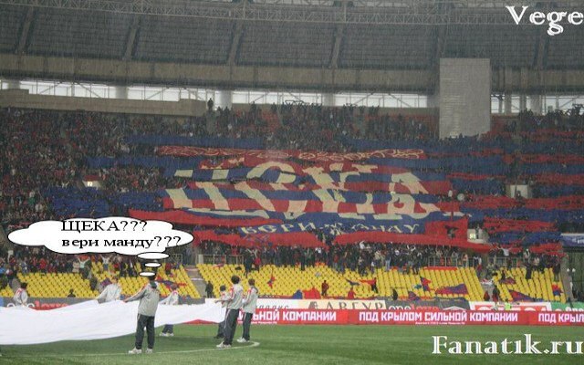 Бананы Широкова Романа