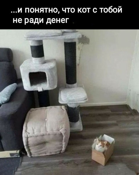 Мемасики от Димасика - Часть 4
