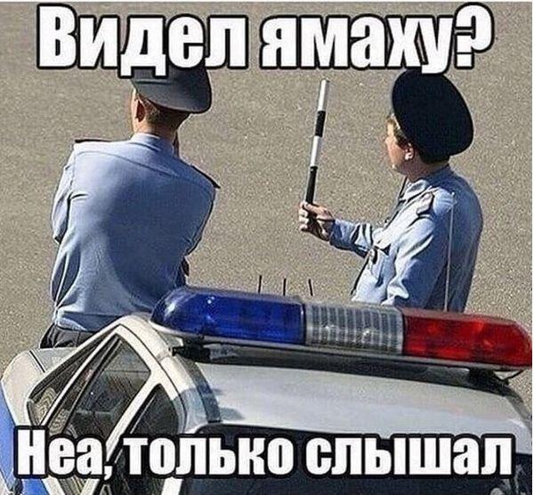 Картинки и мемы для настроения