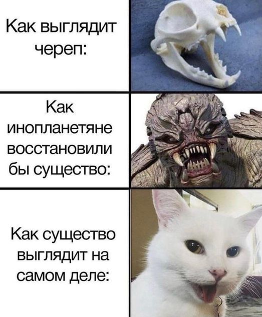 Шелушение коры