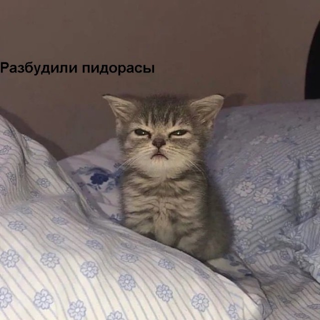 В Южноуральске велосипедист случайно нашёл на обочине спящего маленького ребёнка