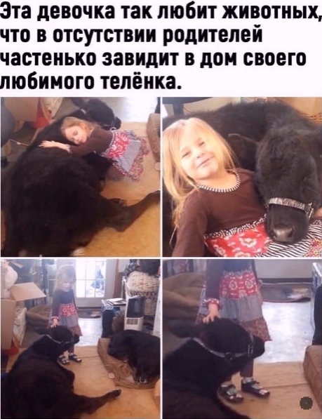 Весёлый полтишок 8.08