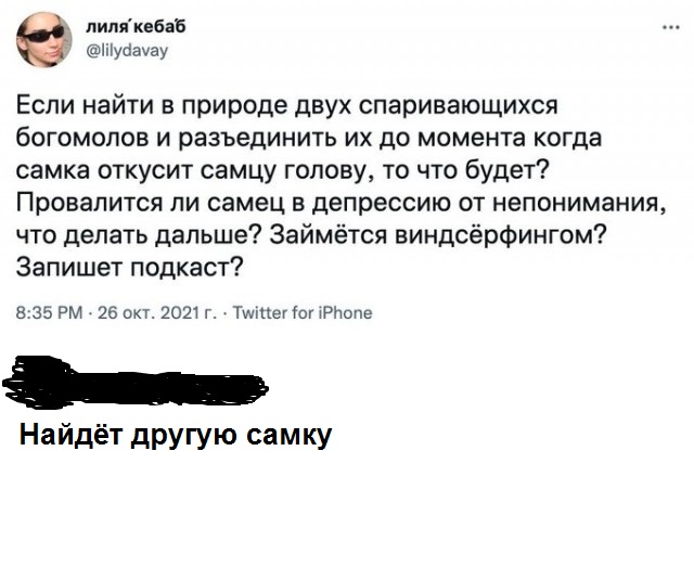 Выпь