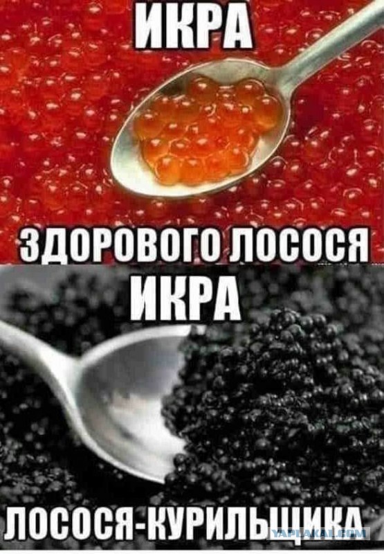 Деревенская Америка - 9