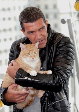 Котовторниковское