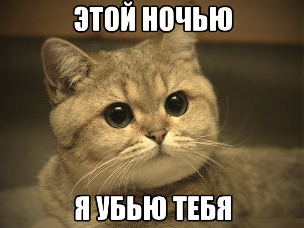 Месть сладка