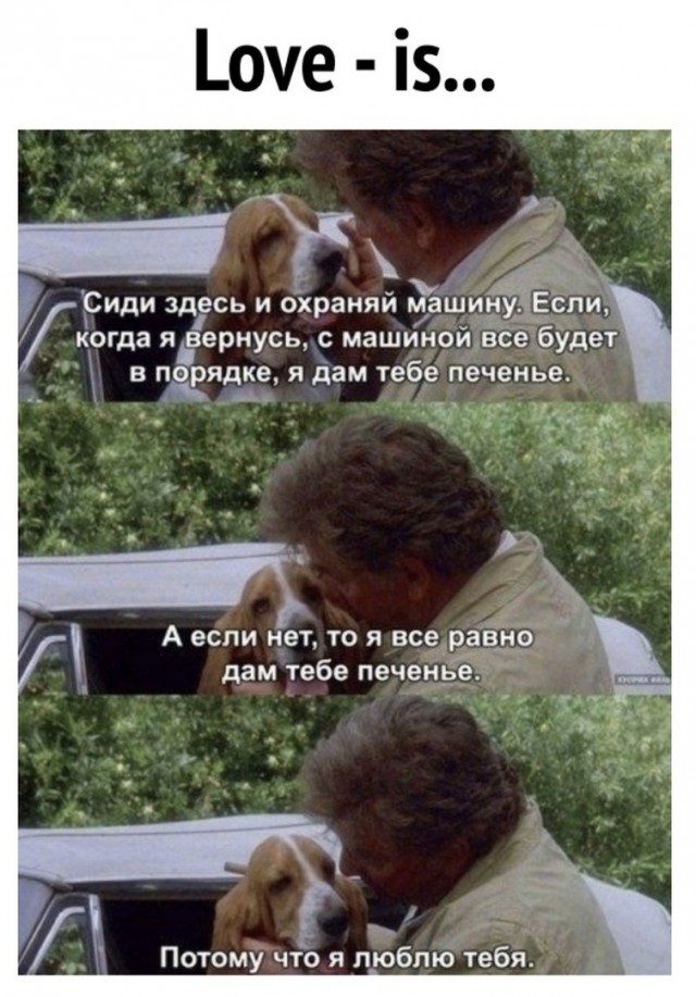 Картинки и мемы для настроения - 23