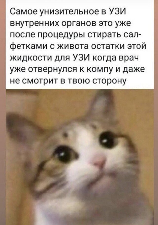Баянисто-небаянистый юмор 30.07.22