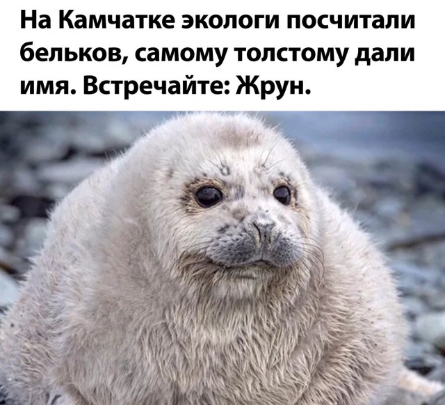 Немного картинок."Колбасный ветер". Август