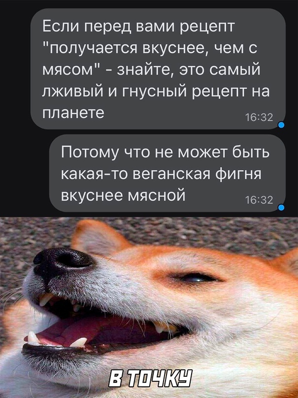 Весёлый полтишок 10.10.22