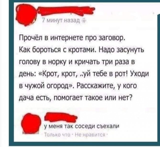 Немного картинок для настроения - 137