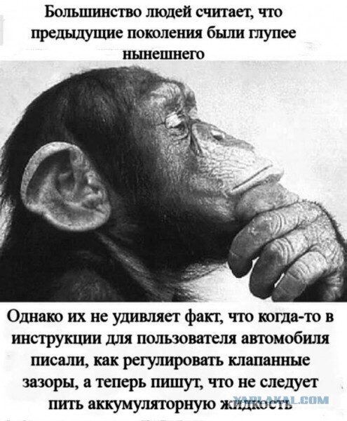 Фарш из баянов