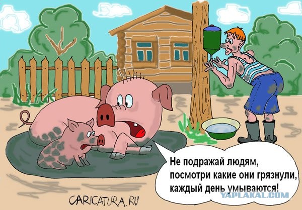 Вице-премьер Виктория Абрамченко призвала россиян не покупать новые джинсы каждый сезон