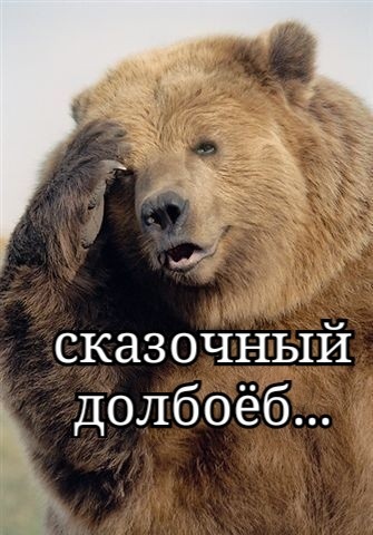 Затрахался до смерти