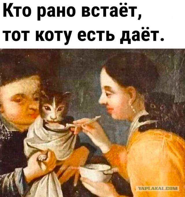 Так себе картинки 12.07.23