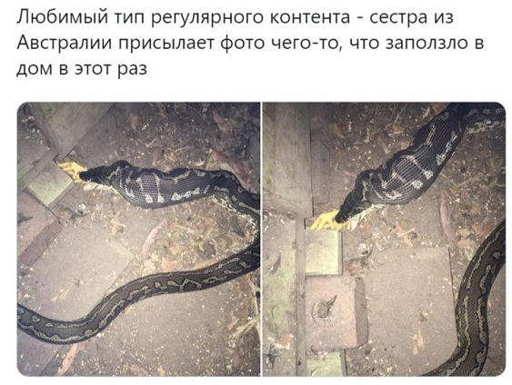 Осторожно, крышечка некрепко держится