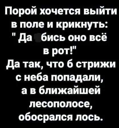 Картинки от Scodero 2024-1
