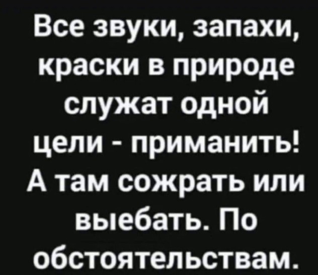 Весёлый полтишок 04.03.24